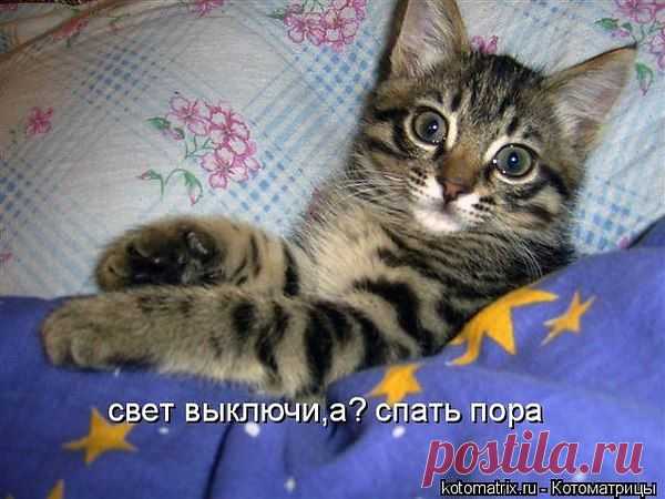 Валюша: Не предлагайте Дружбу --Мимоходом, -Порою даже не Сказав; "Привет" Не собиратель Я кол-ва Народа.. Друзей по Тысячи, поверьте Нет !!..