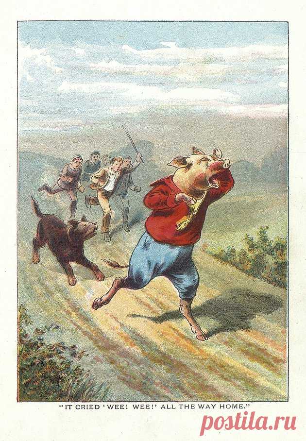 5 little pigs