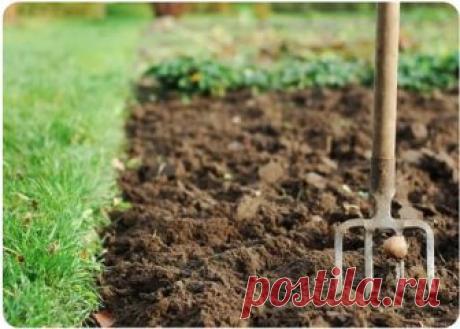 Определяем тип почвы