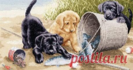 подборка схем для вышивания. / Схемы вышивки крестиком / PassionForum - мастер-классы по рукоделию