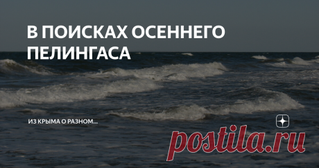 В ПОИСКАХ ОСЕННЕГО ПЕЛИНГАСА Информацию о том, что на Азовском море, на Арабатской стрелке хорошо клюет пелингас, я получил от своих феодосийских приятелей. Однако, собрался туда не сразу.
Несколько дней внимательно следил по Интернету за погодой в этом крымском регионе (Ленинский район) и особенно за направлением ветра. Дело в том, что для успешной пелингасовой рыбалки на Арабатке необходим так называемый ветер в лоб, а