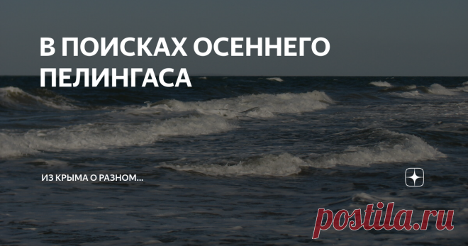 В ПОИСКАХ ОСЕННЕГО ПЕЛИНГАСА Информацию о том, что на Азовском море, на Арабатской стрелке хорошо клюет пелингас, я получил от своих феодосийских приятелей. Однако, собрался туда не сразу.
Несколько дней внимательно следил по Интернету за погодой в этом крымском регионе (Ленинский район) и особенно за направлением ветра. Дело в том, что для успешной пелингасовой рыбалки на Арабатке необходим так называемый ветер в лоб, а