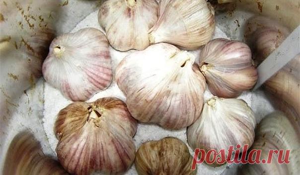 ЧТОБЫ ЧЕСНОК НЕ СГНИЛ
‣ Грядки с чесноком располагайте на хорошо освещенном участке, желательно, чтобы на нем не застаивалась вода. ‣ При подготовке почвы на каждый кв. метр внесите по 1 большому ведру перегноя или компоста и по 30-40 г суперфосфата и нитрофоски. Их можно заменить удобрением 
