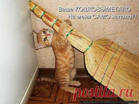 Вы знаете о магических свойствах веника?