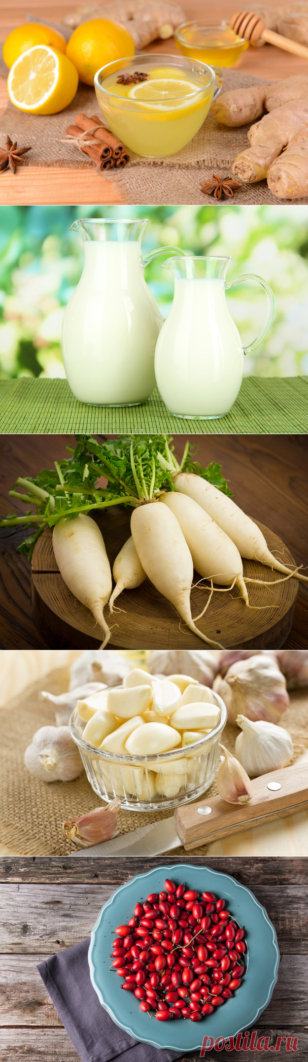 Вкусный способ повысить иммунитет: 8 полезных продуктов - KitchenMag.ru