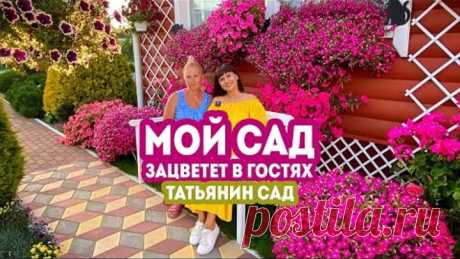 Мой сад. Зацветет в гостях. Татьянин Сад 2020