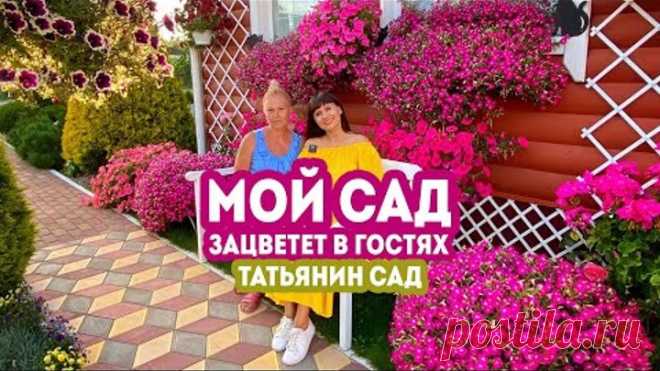 Мой сад. Зацветет в гостях. Татьянин Сад 2020