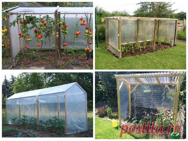 Варианты парников: готовые и сделанные своими руками. Фото