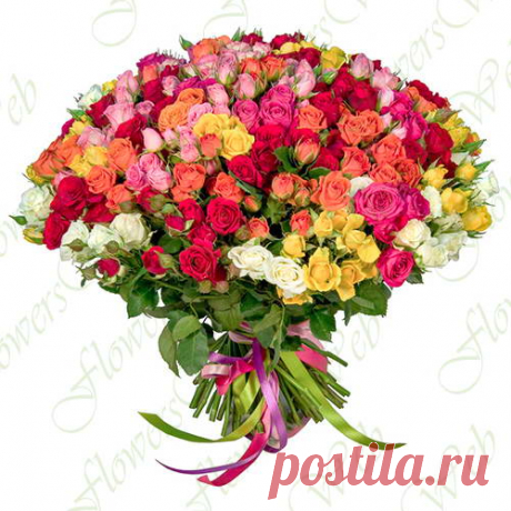 101-kustovaya-roza-mix2.jpg (500×500)