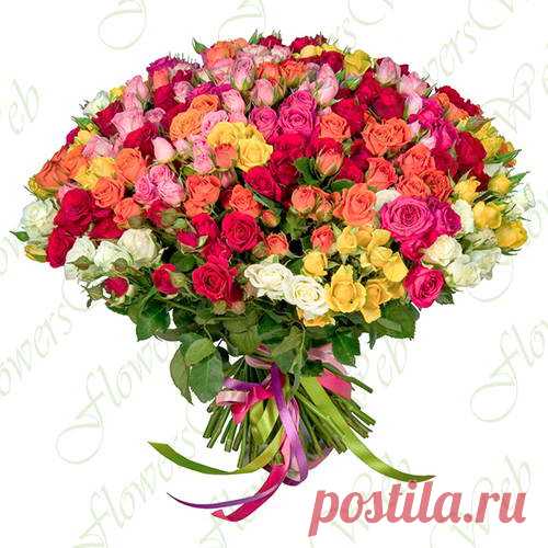101-kustovaya-roza-mix2.jpg (500×500)