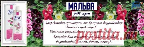 Натуральный крем Мальва от Just, мощная зимняя защита кожи лица и рук. Идеальный для ухода за сухой, склонной к сухости и нормальной кожи. Отлично питает и увлажняет, снимает раздражение и успокаивает эпидермис, защищает от негативного воздействия окружающей среды. Кроме того, идеально подобранные природные компоненты швейцарской косметики успешно борются с возрастными изменениями, замедляя процессы старения в клетках сухой кожи лица и рук. Отличное ср-во для детской кожи.
