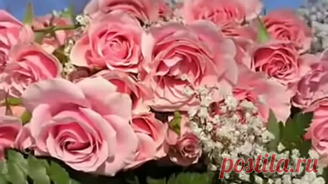 нежная песня поздравления с днем рождения и много роз!!