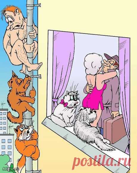 (+1) - Если муж в командировке... Анекдоты | ОБОРЖАКА ;)