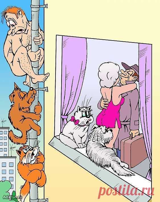 (+1) - Если муж в командировке... Анекдоты | ОБОРЖАКА ;)