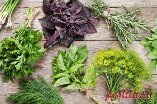 10 ароматных трав, которые придают блюдам пикантность и делают вкус ярче