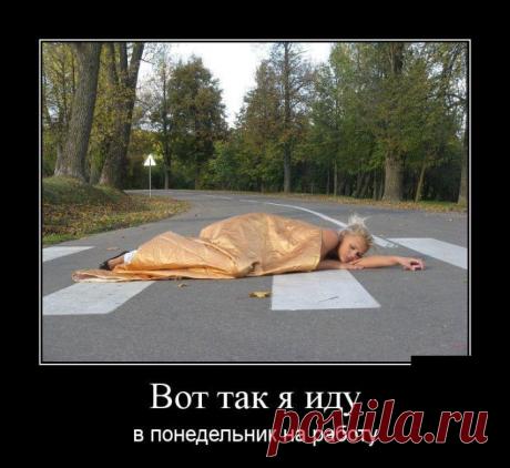 Демотиваторы (30 фото) » Триникси