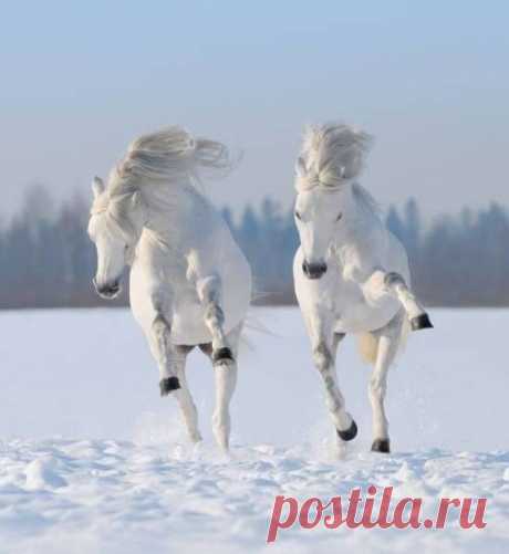 Прикольные фото на выходной! (26 фото)