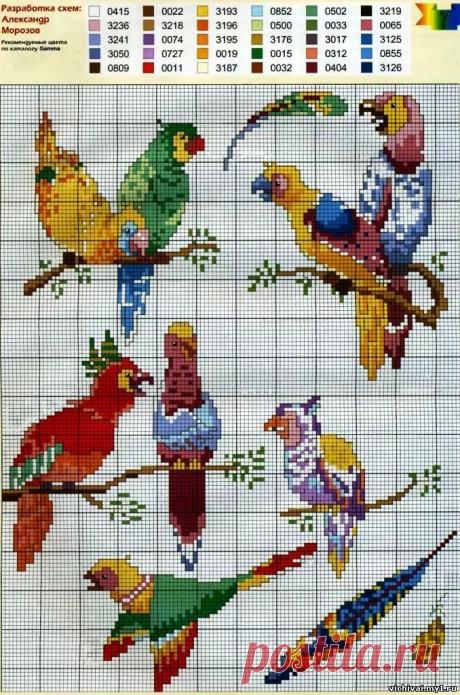 вышивка мелких птичек гладью рисунки птичек: 11 тыс изображений найдено в Яндекс.Картинках