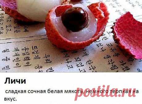 Приложение &quot;Открытки&quot;
Танюль Львенок Независимый