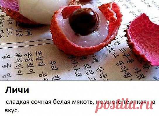 Приложение "Открытки"
Танюль Львенок Независимый