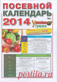 Урожайная грядка №1 2014.