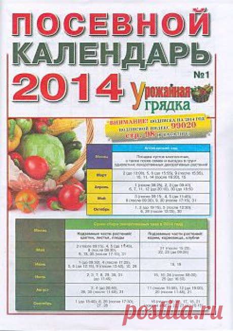 Урожайная грядка №1 2014.