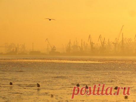 0629 Мариуполь