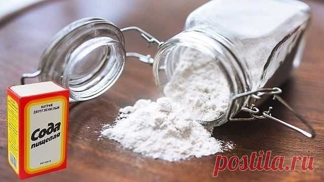 (20) Одноклассники