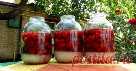 Uogų užpiltinė "Keturi ant keturių": nepamirškite apversti stiklainio Uogų užpiltinė "Keturi ant keturių": nepamirškite apversti stiklainio - labai gardus patiekalas, kurį nesunkiai pasigaminsite pagal pateiktą receptą šioje svetainėje. Daug gerų ir išbandytų receptų vienoje vietoje, kuriuos tiesiog privalote išmėginti!