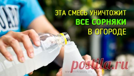 Народное средство, которое уничтожит ВСЕ сорняки!