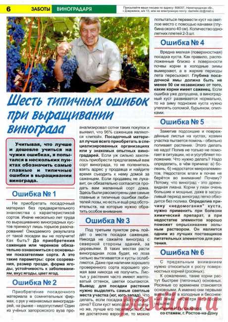 Шесть типичных ошибок при выращивании винограда