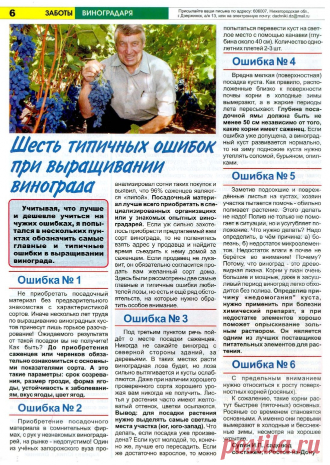Шесть типичных ошибок при выращивании винограда