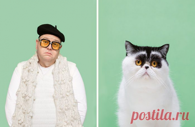 Хозяева и их кошки, которые очень похожи друг на друга / Питомцы
