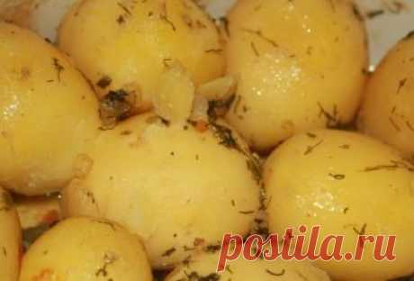 Молодой картофель с салом, укропом и специями