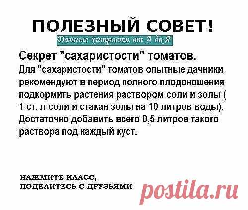 Дачная жизнь | Сад, дача, огород, строительство