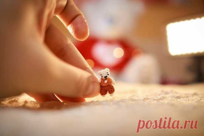 I Crochet Miniature Amigurumi Animals That Can Live In A Walnut Shell (13 Pics) | Bored Panda