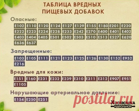 Идеальная Хозяюшка