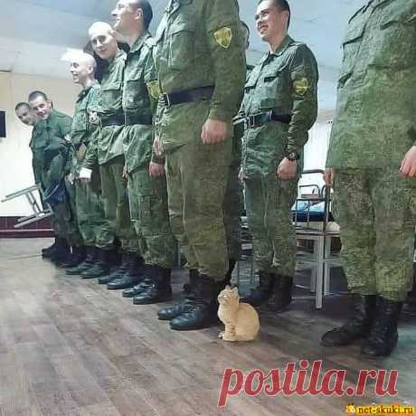 Армейские приколы - Нет скуки.ру. Юмор, приколы, смешные картинки и разные интересности..
