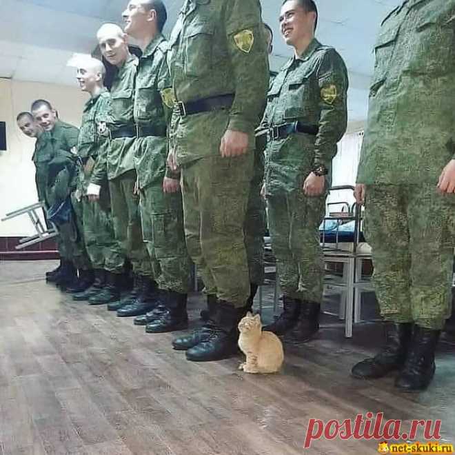 Армейские приколы - Нет скуки.ру. Юмор, приколы, смешные картинки и разные интересности..