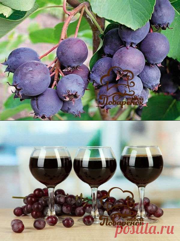 Вино из ирги в домашних условиях - пошаговый рецепт