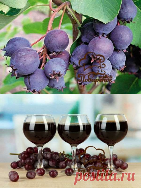 Вино из ирги в домашних условиях - пошаговый рецепт