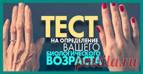 Тест на определение вашего биологического возраста
  1. Кожа 2. Сосуды и сердце 3. Нервная система 4. Сила мышц 5. Связки и сухожилия 6. Дыхательная система 7. Суставы и их состояние 8. Координация Как известно, цифра в паспорте не всегда соответствует биологическому возрасту его обладателя. Дело не только во внешнем виде, а в состоянии здоровья, которое складывается из работы различных систем […]
Читай дальше на сайте. Жми подробнее ➡