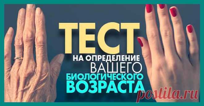 Тест на определение вашего биологического возраста
  1. Кожа 2. Сосуды и сердце 3. Нервная система 4. Сила мышц 5. Связки и сухожилия 6. Дыхательная система 7. Суставы и их состояние 8. Координация Как известно, цифра в паспорте не всегда соответствует биологическому возрасту его обладателя. Дело не только во внешнем виде, а в состоянии здоровья, которое складывается из работы различных систем […]
Читай дальше на сайте. Жми подробнее ➡