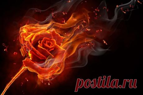 Техника сжигания проблем - AUM News