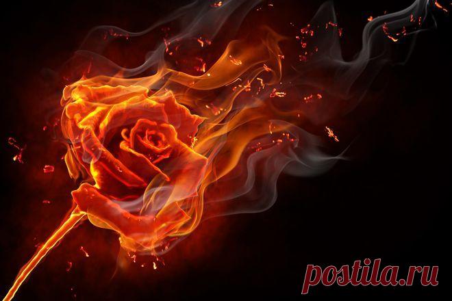 Техника сжигания проблем - AUM News