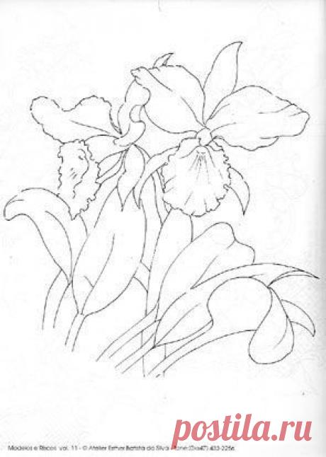 ШАБЛОНЫ, ТРАФАРЕТЫ-19 . ЦВЕТЫ. Продолжение серии.Часть 19.