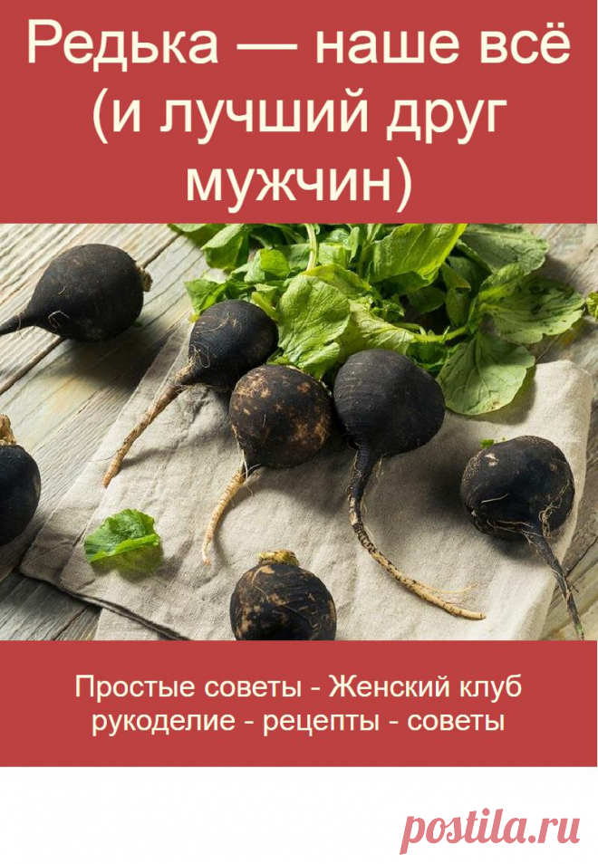 Редька — наше всё (и лучший друг мужчин)