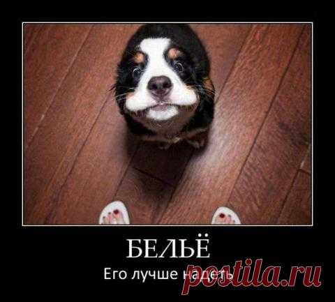 Глазы есть везде!..