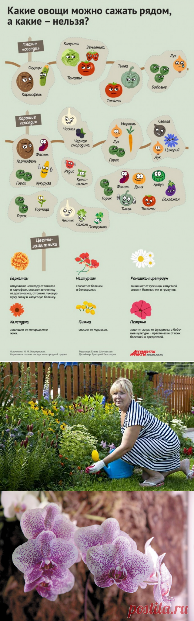АиФ.ru | Объясняем, что происходит