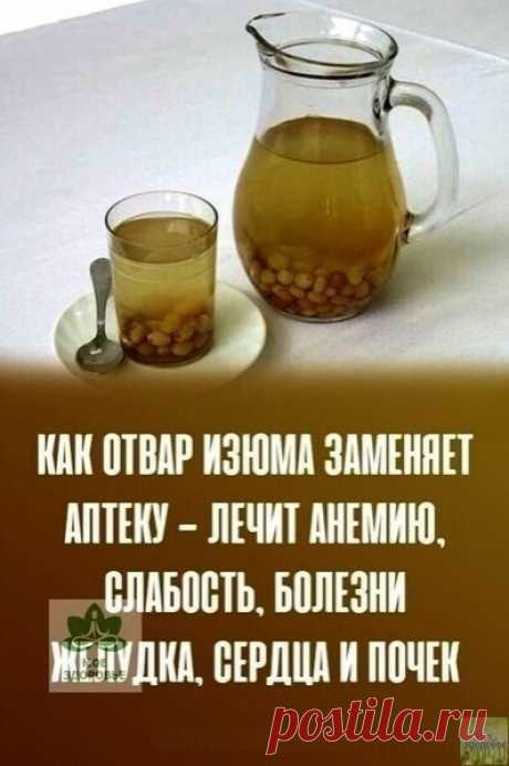 КАК ОТВАР ИЗЮМА ВЛИЯЕТ НА НАШ ОРГАНИЗМ

Изюм полезен сам по себе, а отвар из него способен оказывать целебное действие на организм как взрослого, так и ребенка. Некоторые специалисты рекомендуют начинать день именно со стакана отвара, приготовленного из изюма.

Помогает очищать печень
Антиоксиданты, которых в изюме очень много, позволяют активизировать работу печени и лучше выводить токсины и шлаки, оказывая целебное воздействие на этот орган. При регулярном употреблении и...
